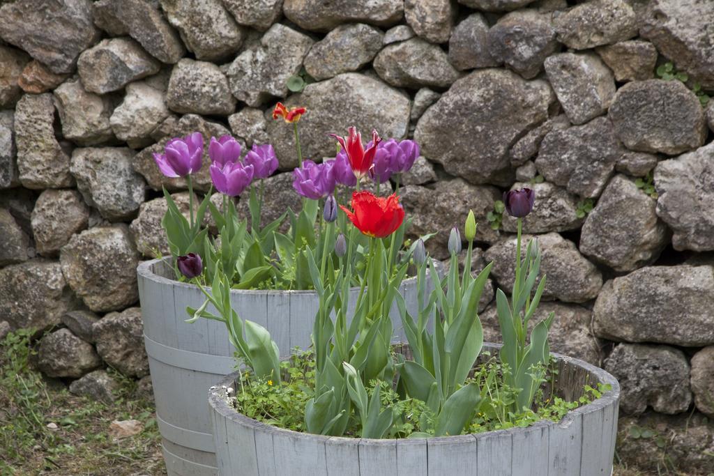 Agriturismo Borgo Personatina Совичиле Екстериор снимка